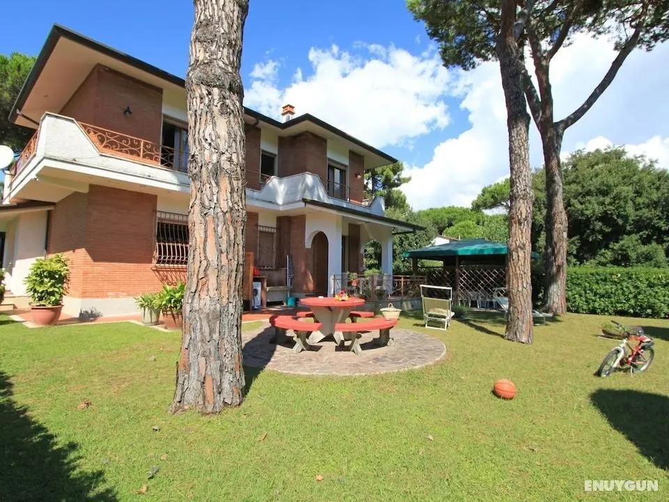 Marcella Forte dei Marmi - Öne Çıkan Resim