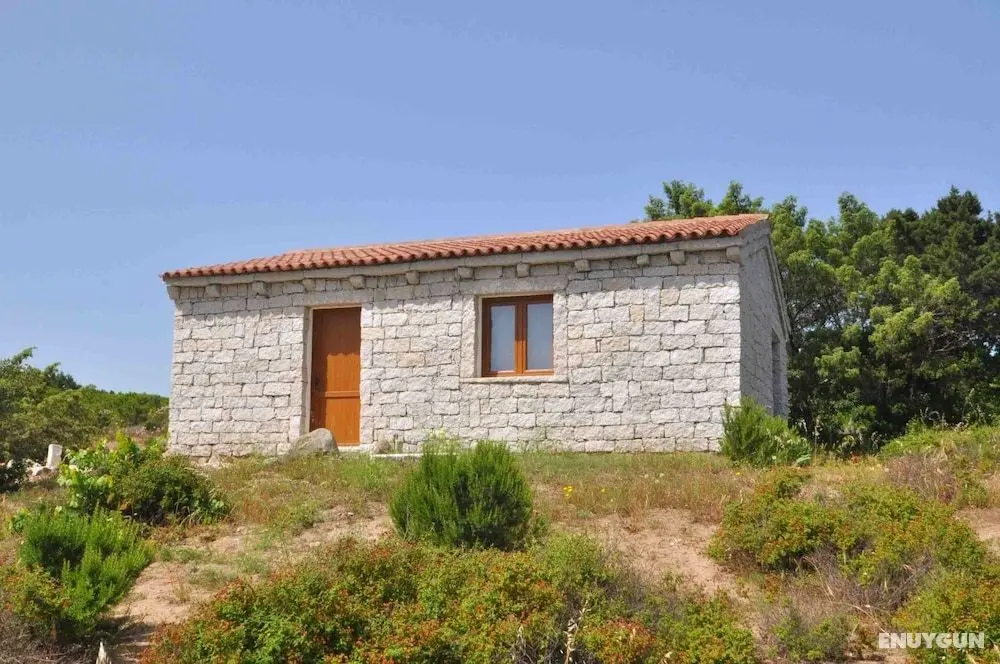 Mare Di Ginepri - Öne Çıkan Resim