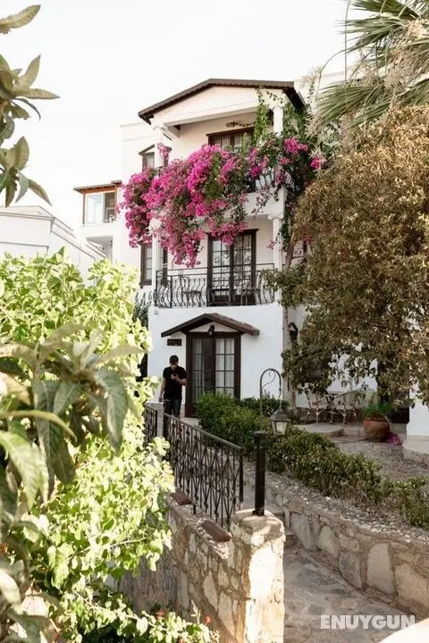 Mare Garden Hotel - Dış Mekan