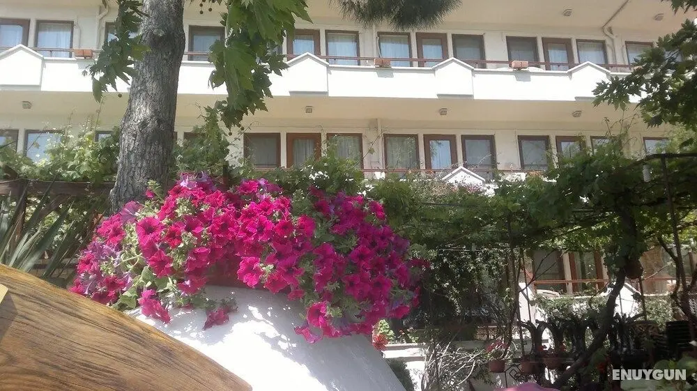 Hotel Mare&Monte - Genel