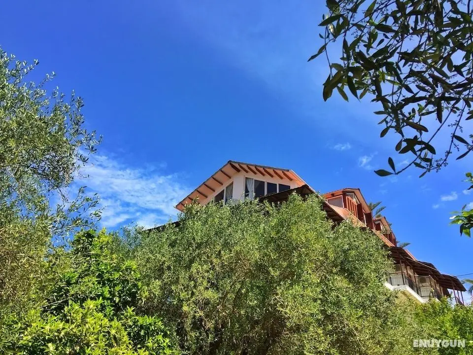 Margarita Apartments - Öne Çıkan Resim