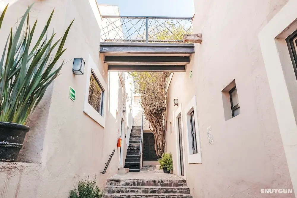 Hotel Maria Bonita - Dış Mekan