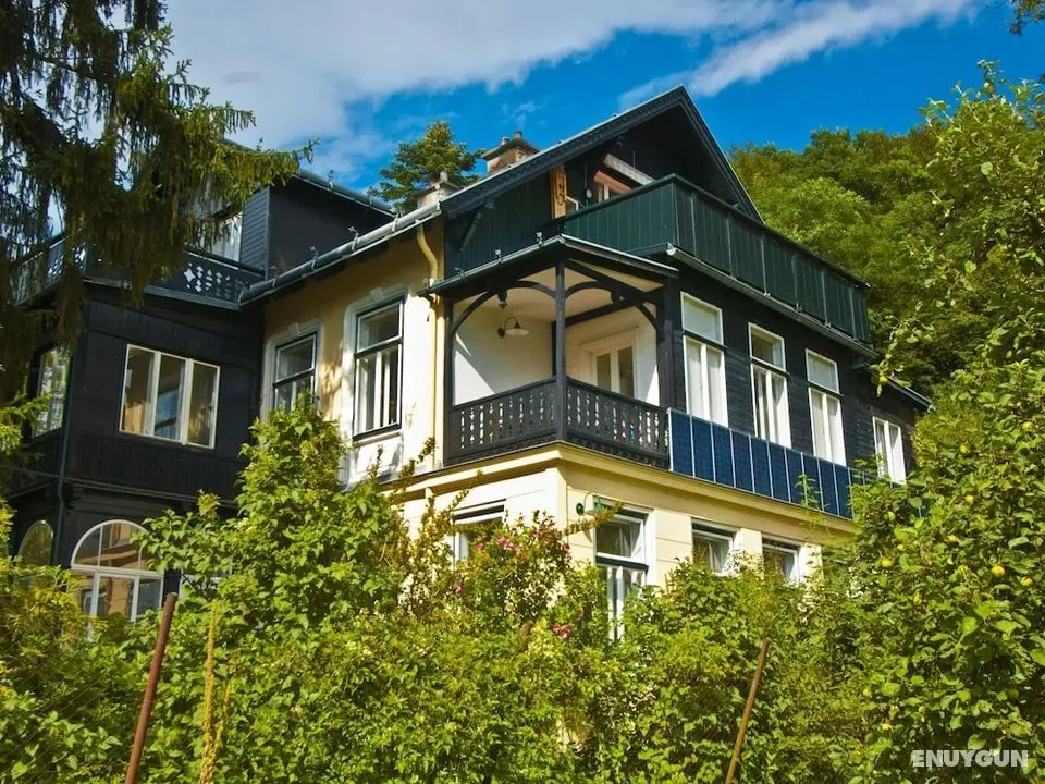 Villa Marie Purkersdorf - Öne Çıkan Resim