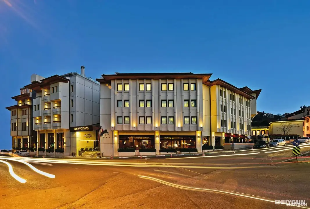 Marigold Thermal&Spa Hotel Bursa - Dış Mekan