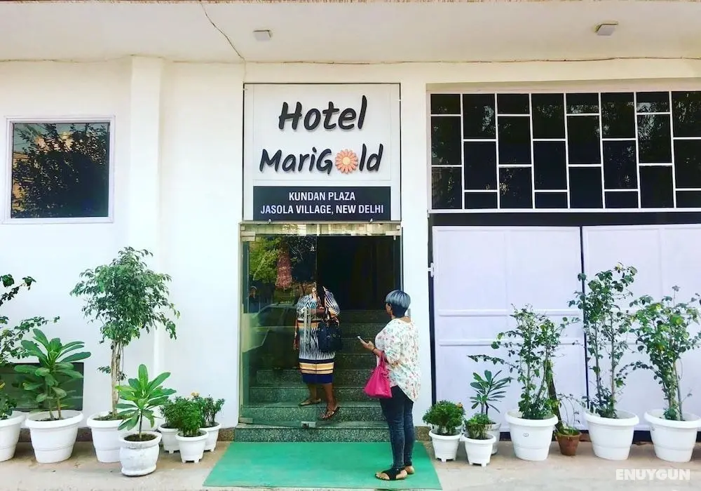 Hotel Marigold - Dış Mekanlar