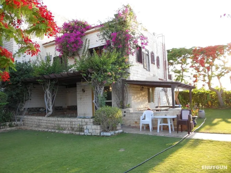Marina Village North Coast - Öne Çıkan Resim