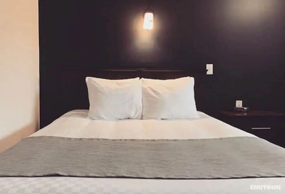 Hotel Marineau La Tuque Centre - Öne Çıkan Resim