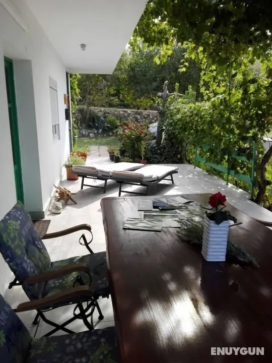 Markas - pet Friendly - A1 Bella Vista 1 - Öne Çıkan Resim