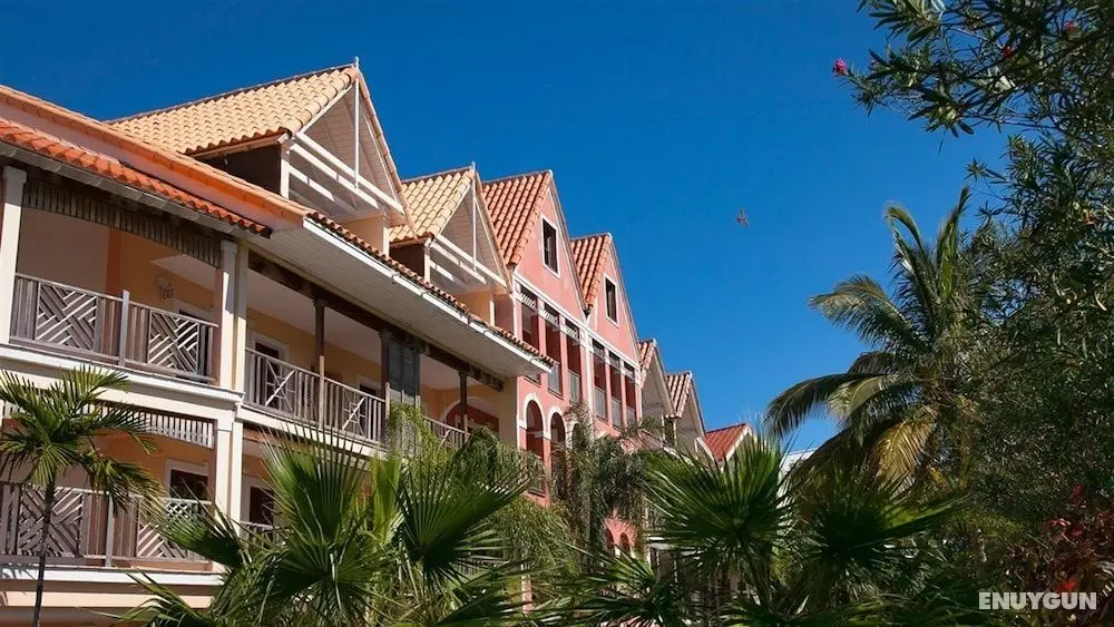 The Marlin at Taino Beach Resort & Clubs - Öne Çıkan Resim