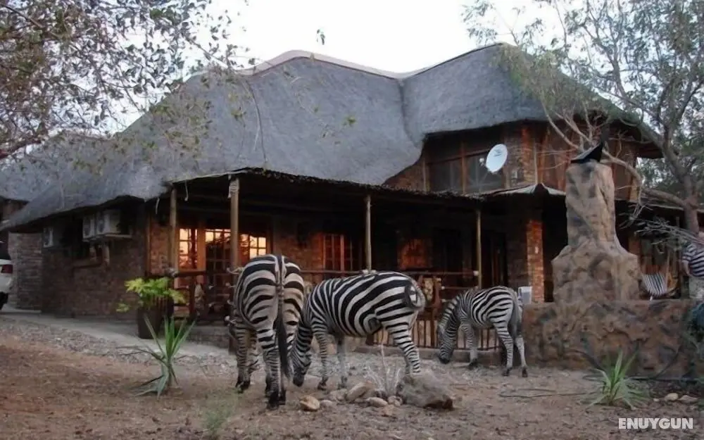 Marloth Kruger Accommodation - Öne Çıkan Resim