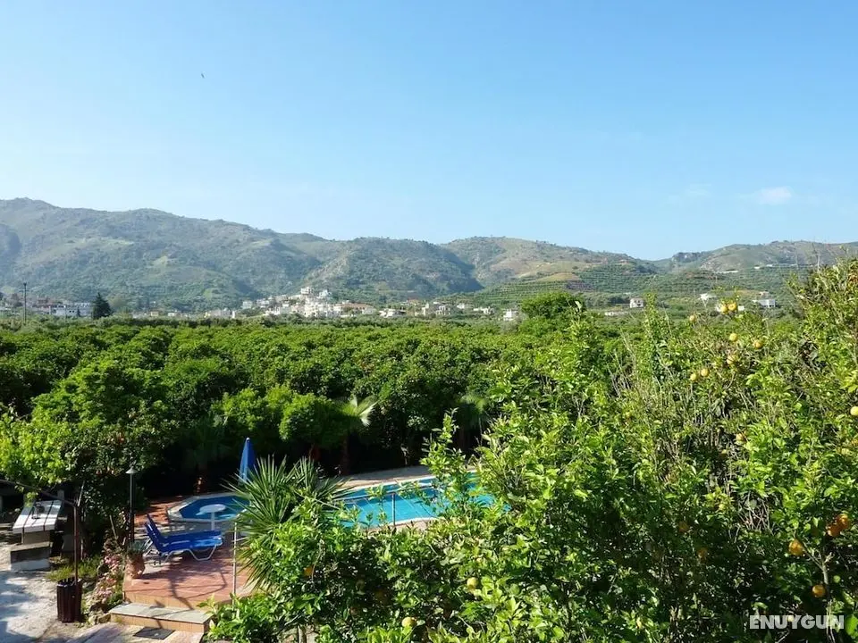 Maros-spitaki Hideaway for 2 Amongst the Orange Trees - Oda
