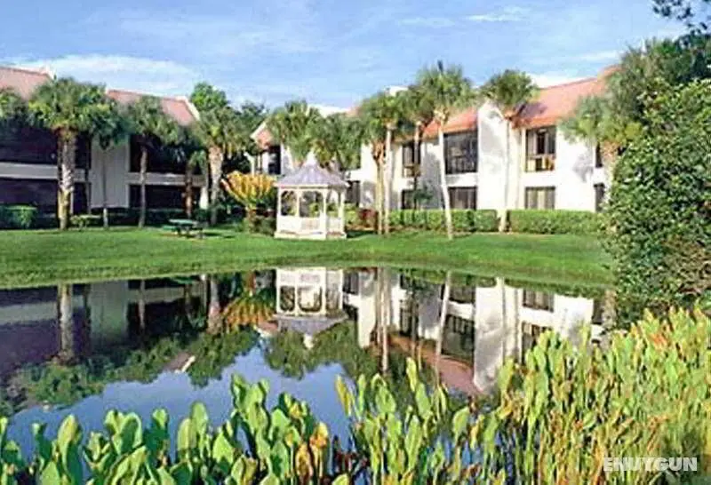 Marriott's Sabal Palms - Genel