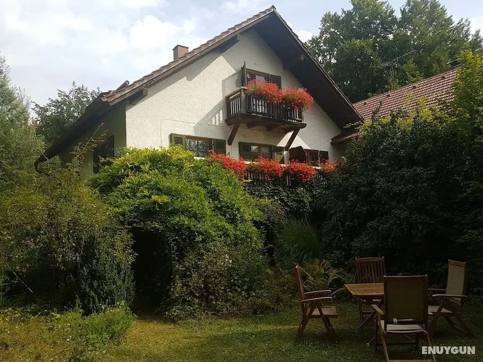 Martina's place - Öne Çıkan Resim