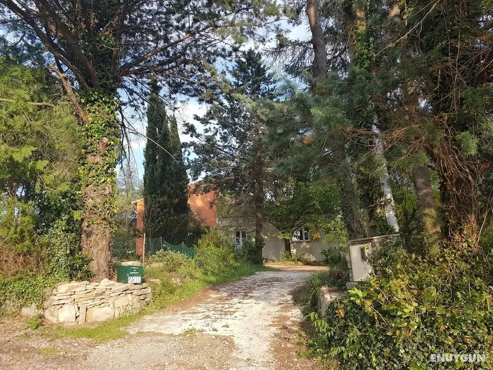 Mas des Ballats - Dış Mekan