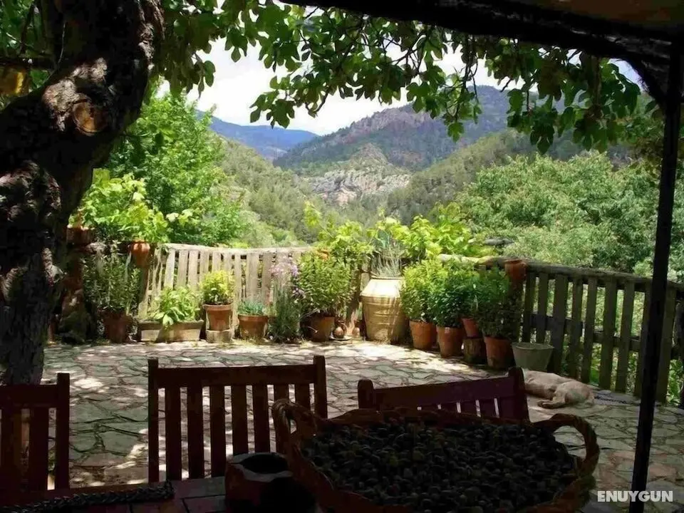 Masía La Posada del río Carbo - Dış Mekanlar