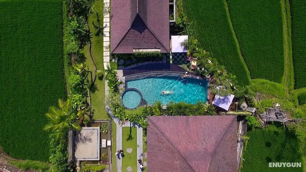 Masia Villa Ubud - Öne Çıkan Resim