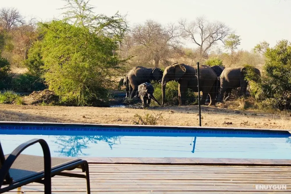 Masodini Private Game Lodge - Öne Çıkan Resim