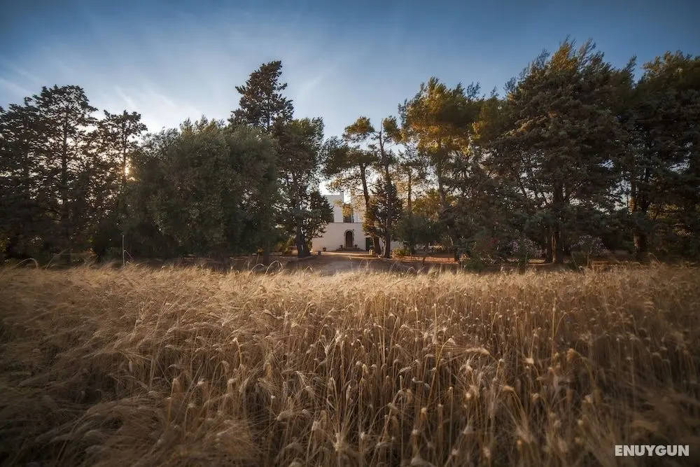 Masseria Fracchicchi - Öne Çıkan Resim