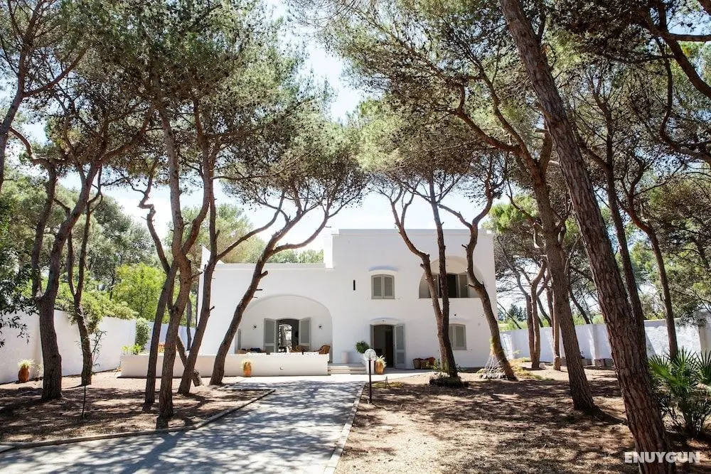 Masseria Villa - Maison by the sea - Öne Çıkan Resim