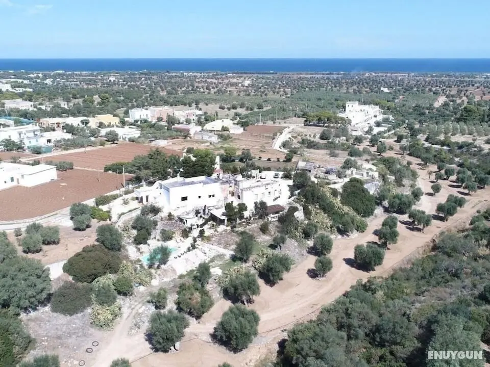 Masseria Pelosella B&B - Öne Çıkan Resim
