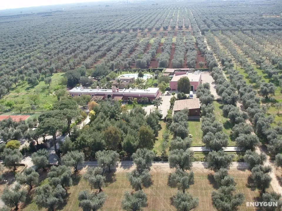 Masseria Pisciani - Dış Mekan