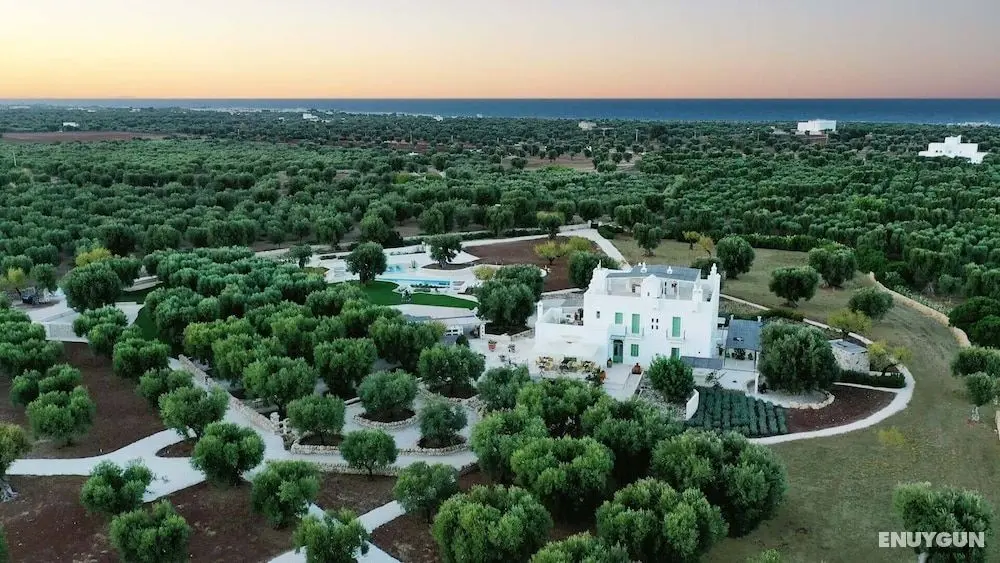 Masseria Sottomasi - Öne Çıkan Resim