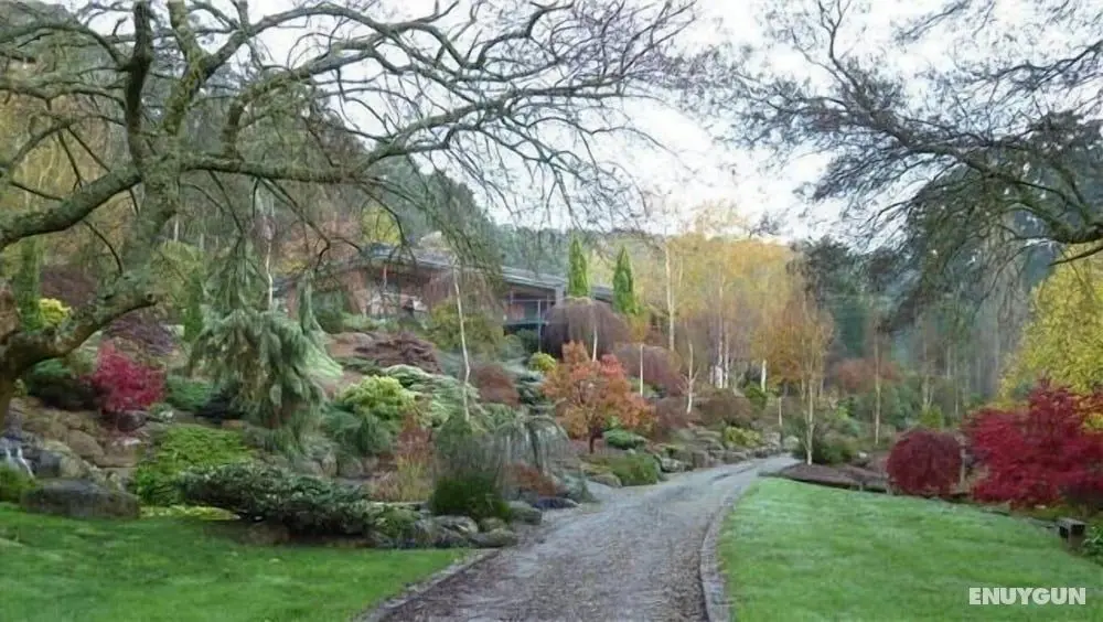 Mast Gully Gardens Bed & Breakfast - Dış Mekan