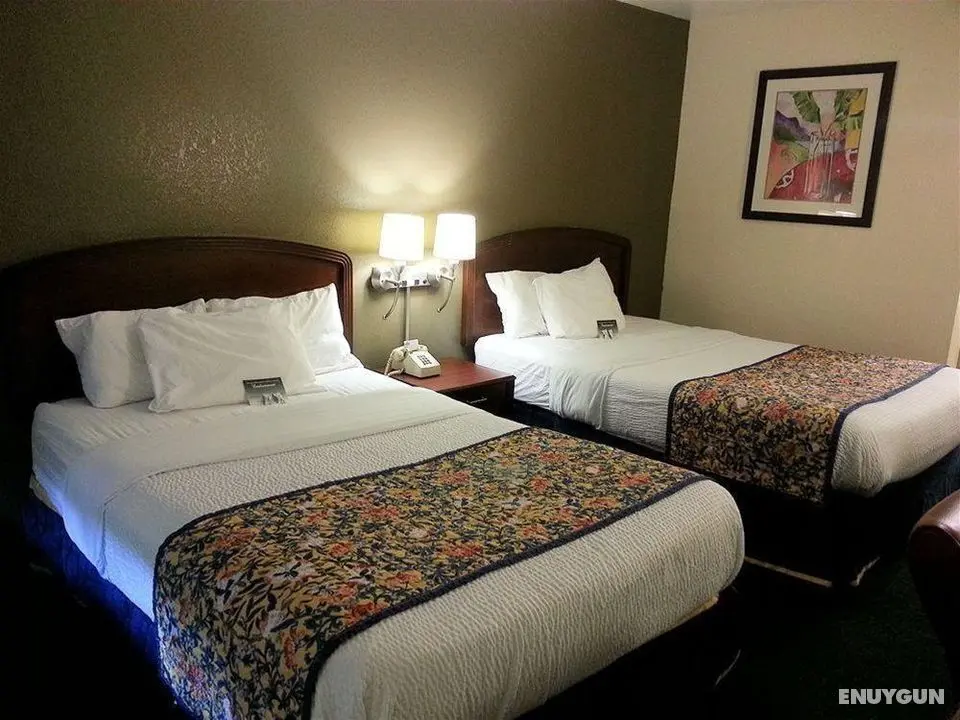 Masters Inn - Tampa Fairgrounds - Genel