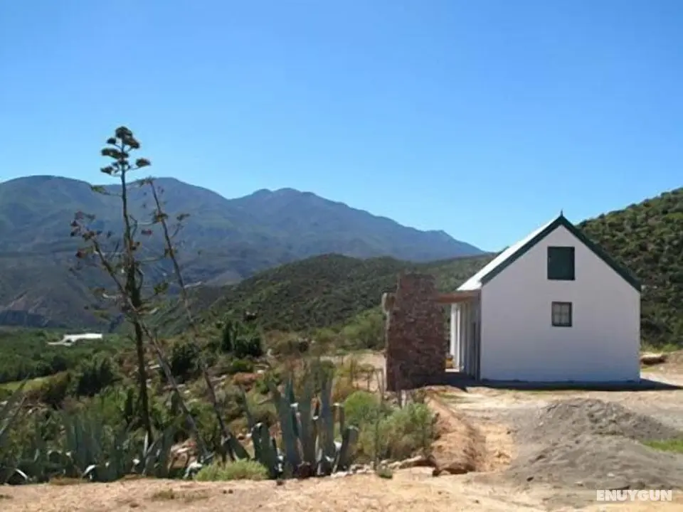 Matjiesvlei Guest Farm - Öne Çıkan Resim