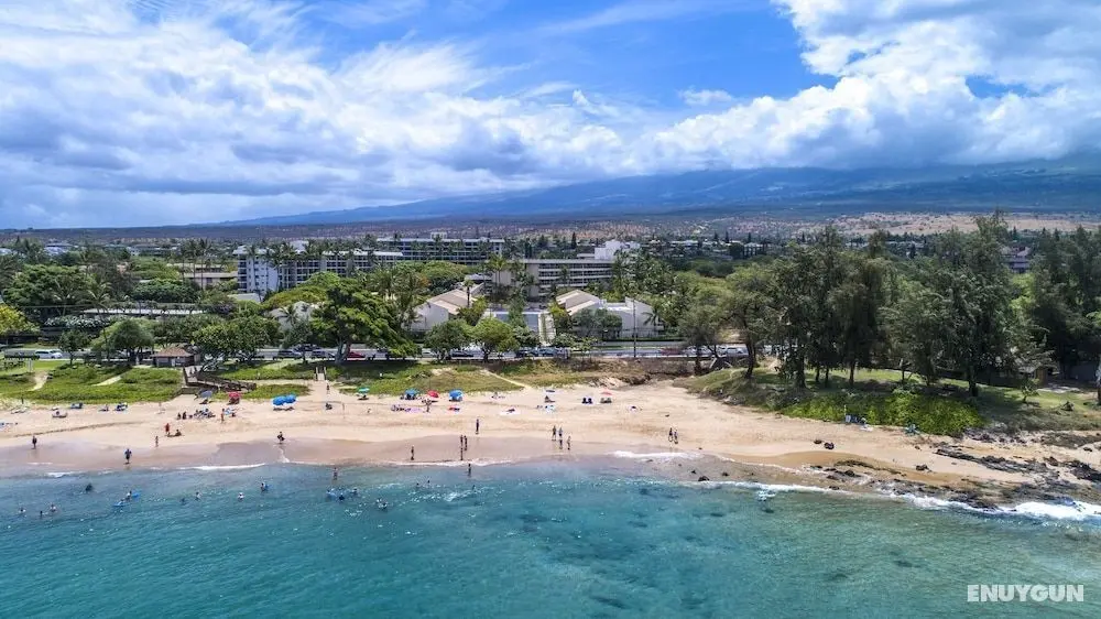 Maui Banyan Basic by AEI - Öne Çıkan Resim
