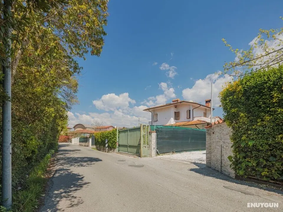 Mauro Marina di Pietrasanta - Oda