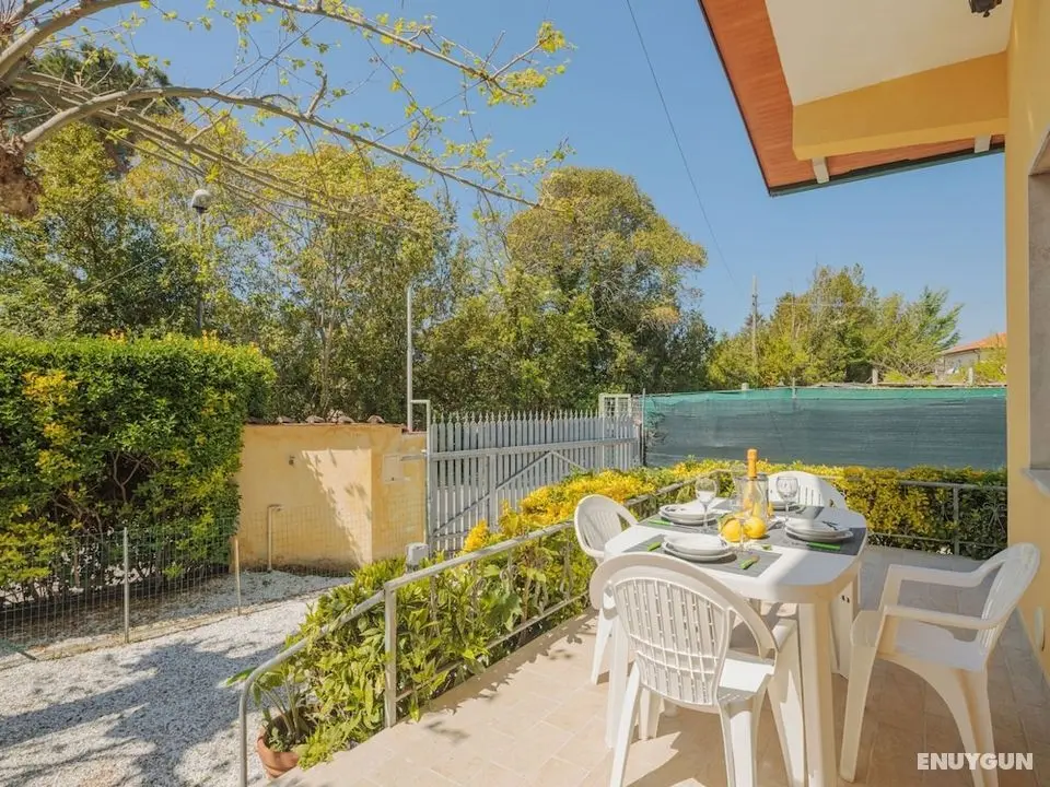 Mauro Marina di Pietrasanta - Öne Çıkan Resim