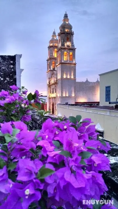 Hotel Maya Ah Kim Pech - Öne Çıkan Resim