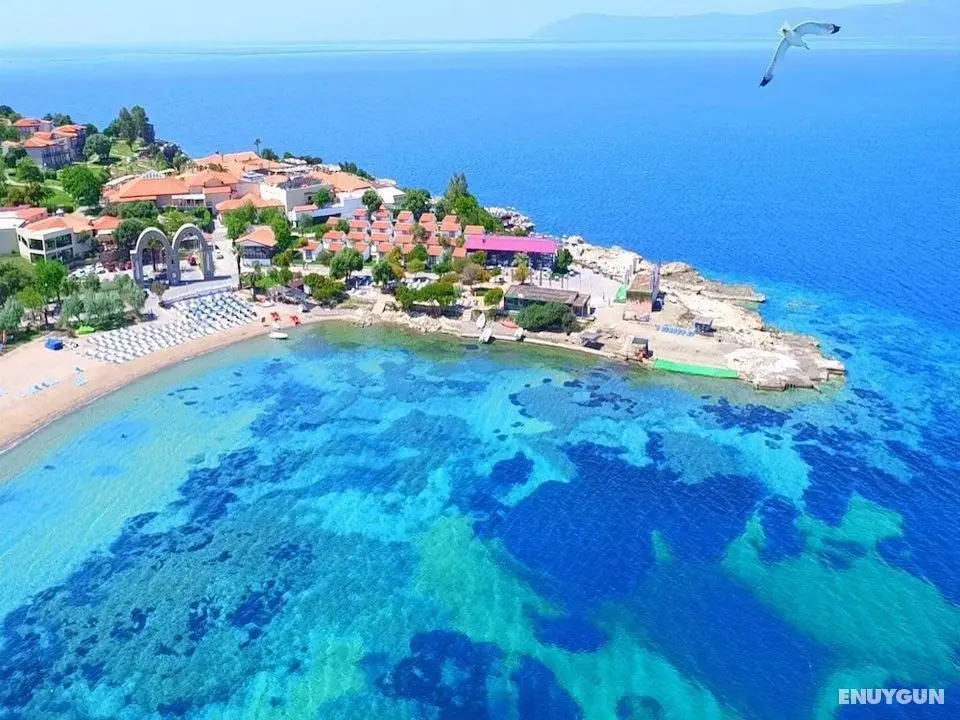 Maya Bistro Hotel Beach - Öne Çıkan Resim
