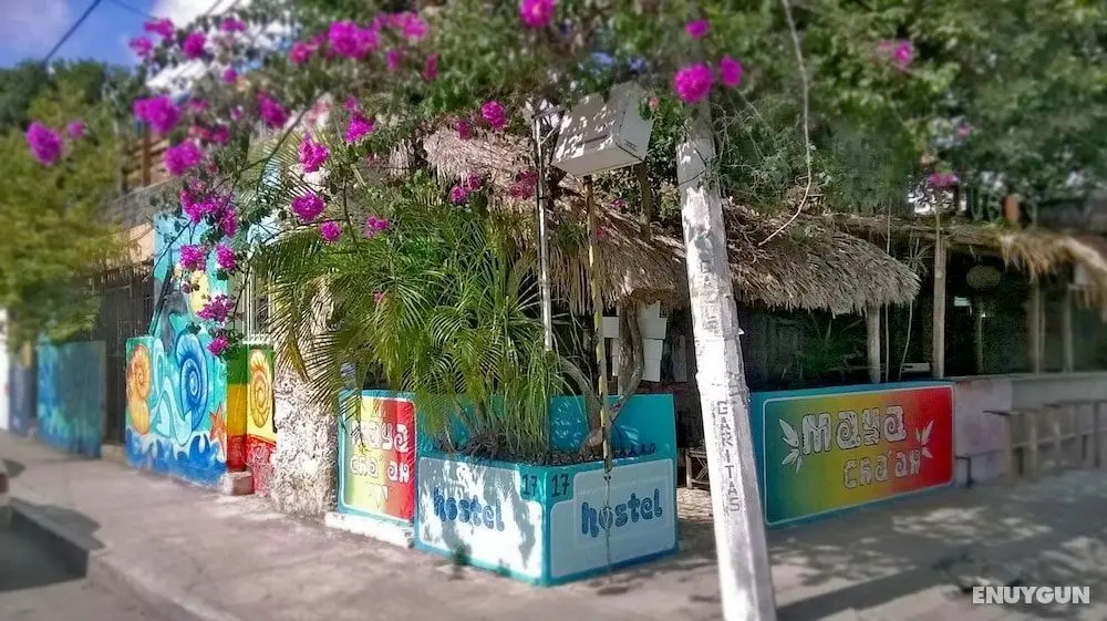 Maya Cha'an Guesthouse - Öne Çıkan Resim