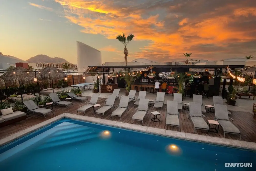 Mayan Monkey Los Cabos - Öne Çıkan Resim