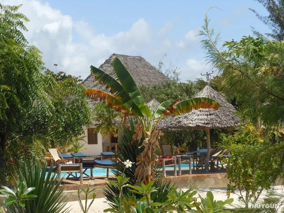 Mbuyuni Beach Village - Genel