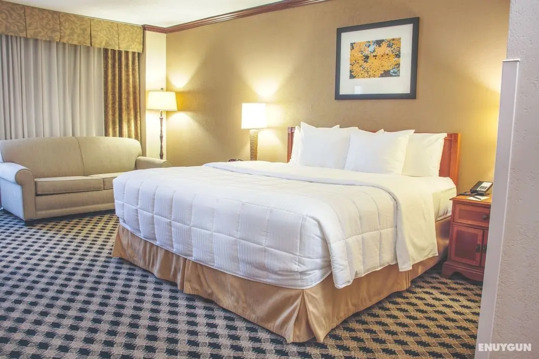 MCM Eleganté Hotel & Conference Center Beaumont - Oda
