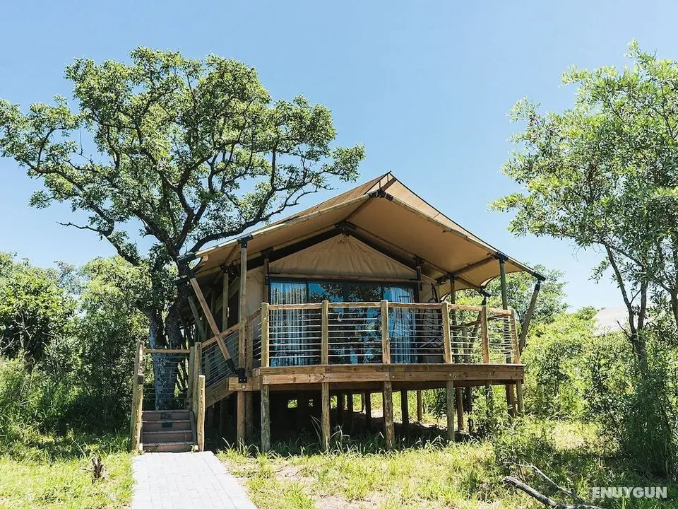Mdluli Safari Lodge - Öne Çıkan Resim