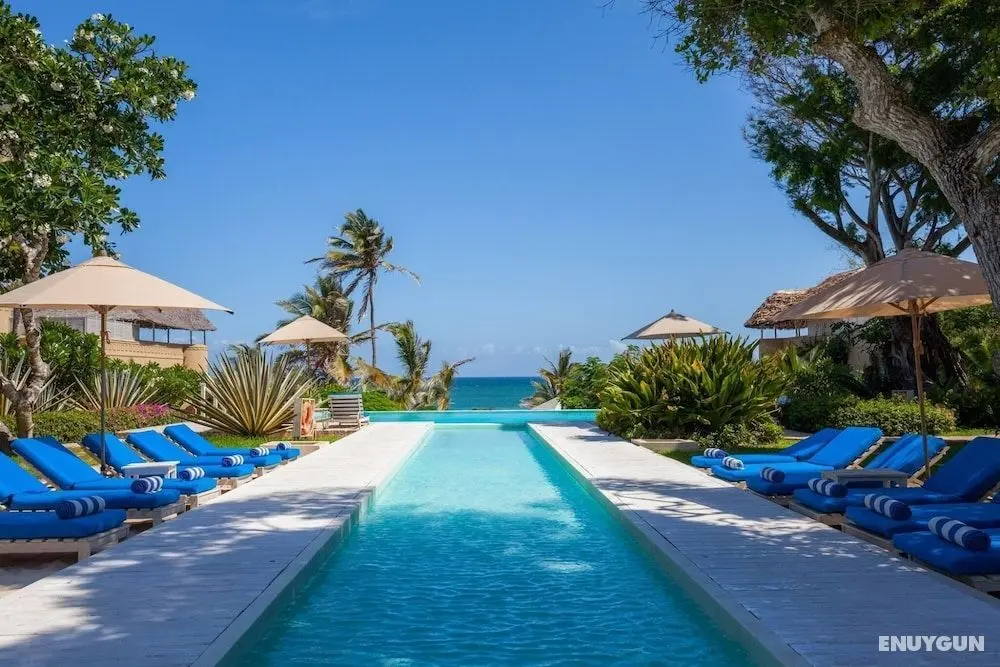 Medina Palms - Öne Çıkan Resim