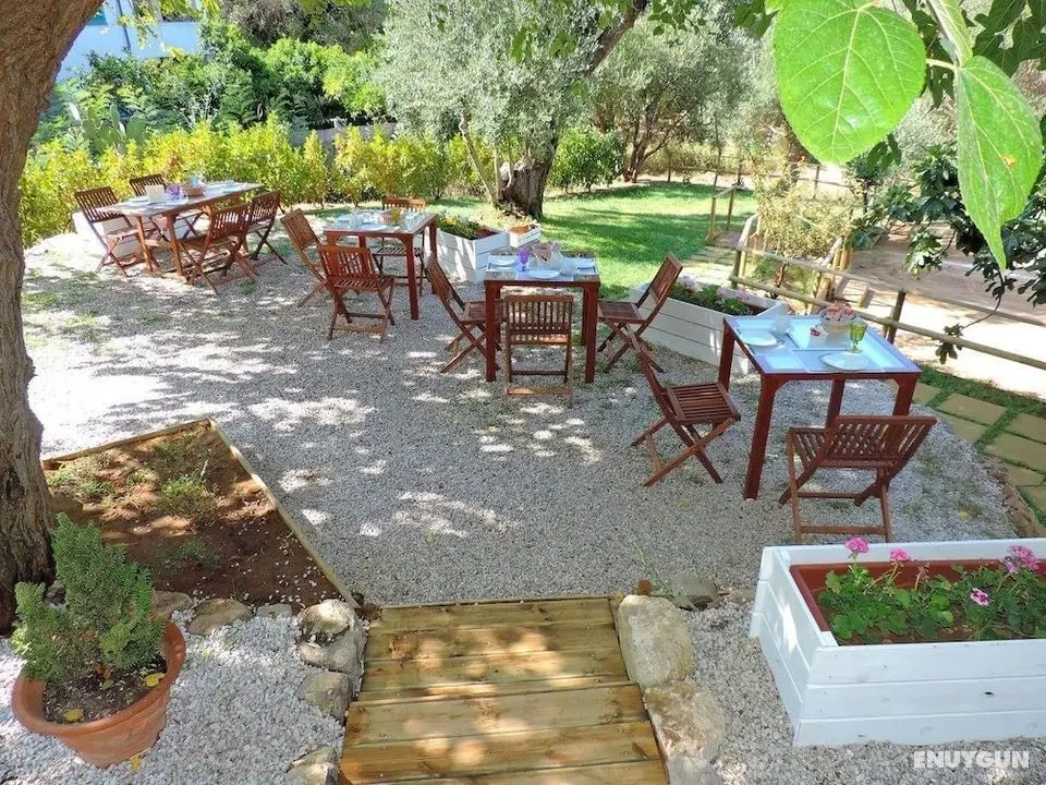 Mediterraneo Rooms - Öne Çıkan Resim