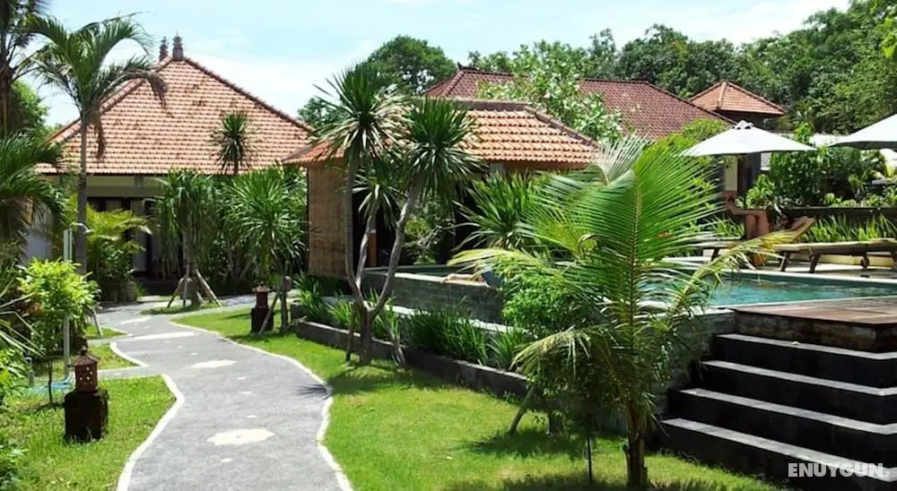 Medori Putih Homestay - Öne Çıkan Resim