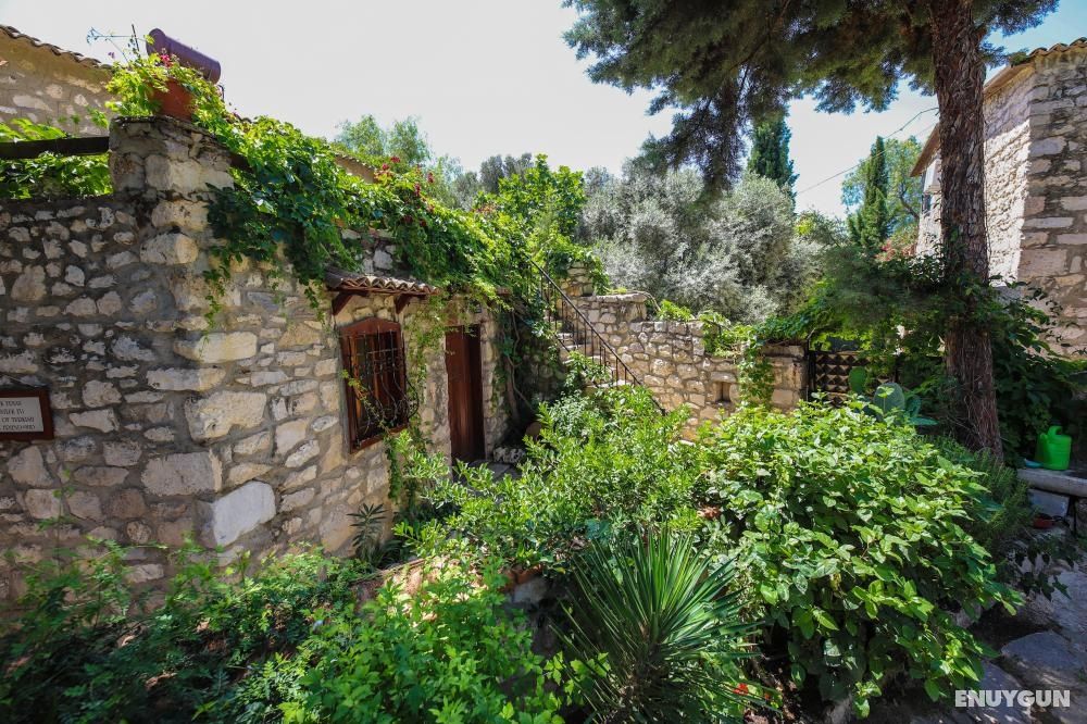 Medusa House Hotel