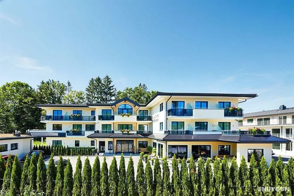 Hotel Melanie - Genel