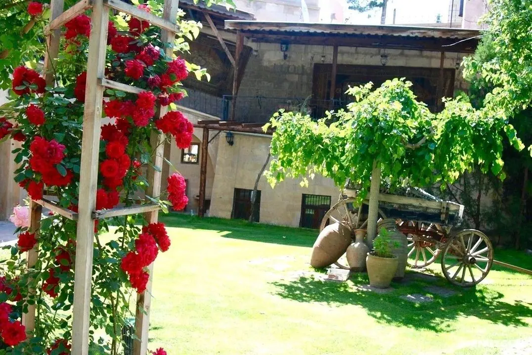 Melis Cave Hotel - Dış Mekan