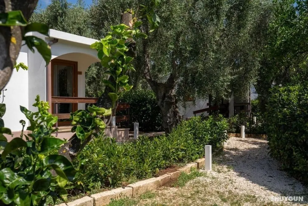Melograno Holiday Home Featured With Swimming Pool and Private Beach - Öne Çıkan Resim