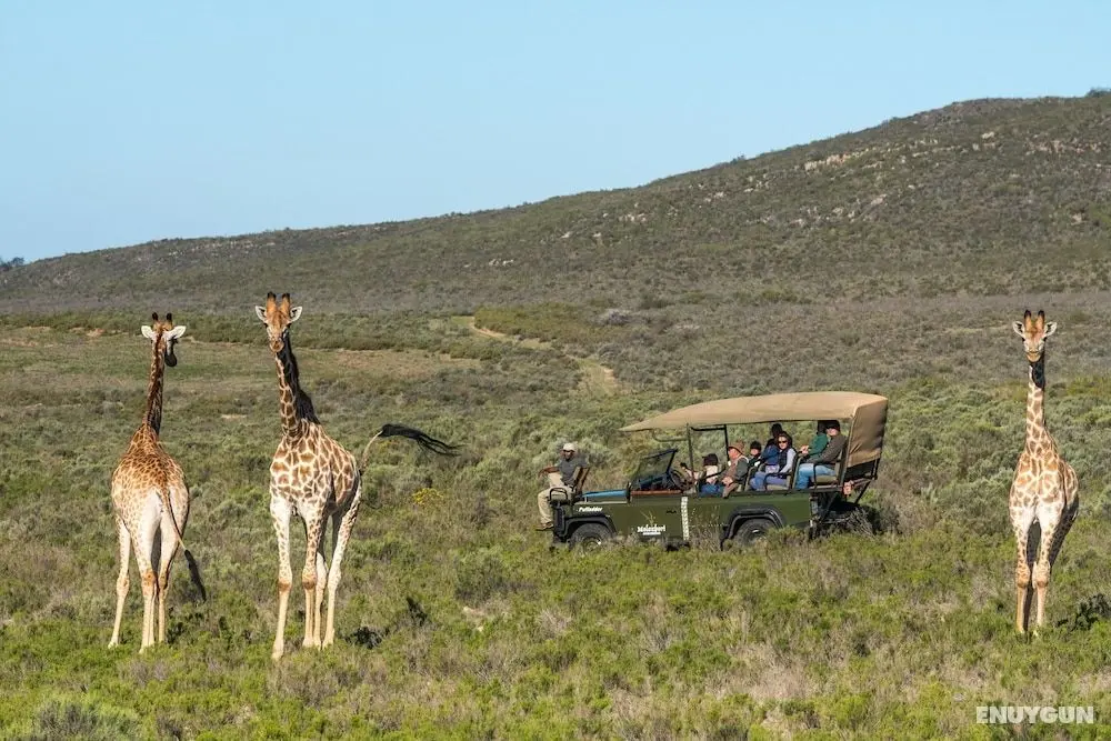 Melozhori Game Reserve - Öne Çıkan Resim
