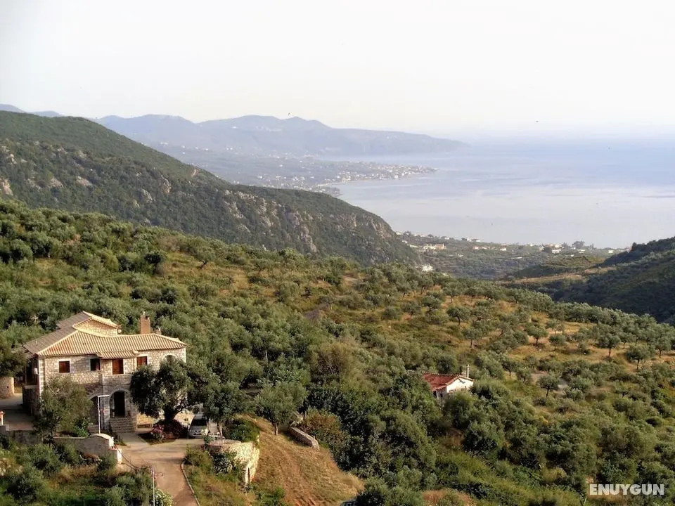 Menina Farm - Dış Mekan