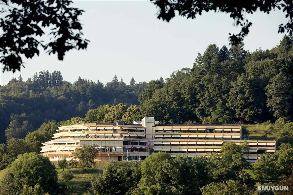 Mercure Panorama Freiburg - Genel
