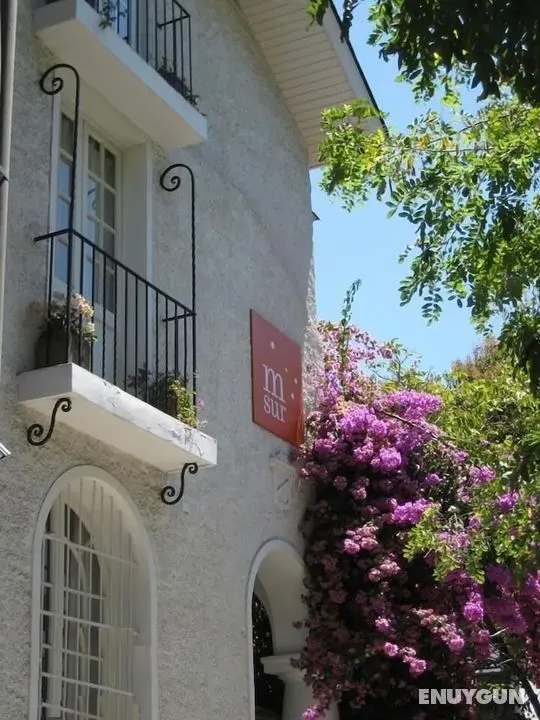 Meridiano Sur Petit Hotel - Öne Çıkan Resim